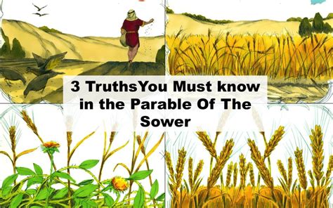 The Parable of the Sower .